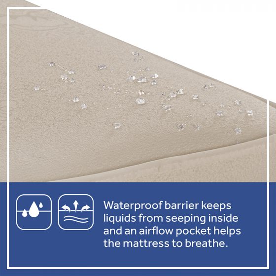 Sealy Soybean Natural Crib Mattress Best Crib Mattress Sealy