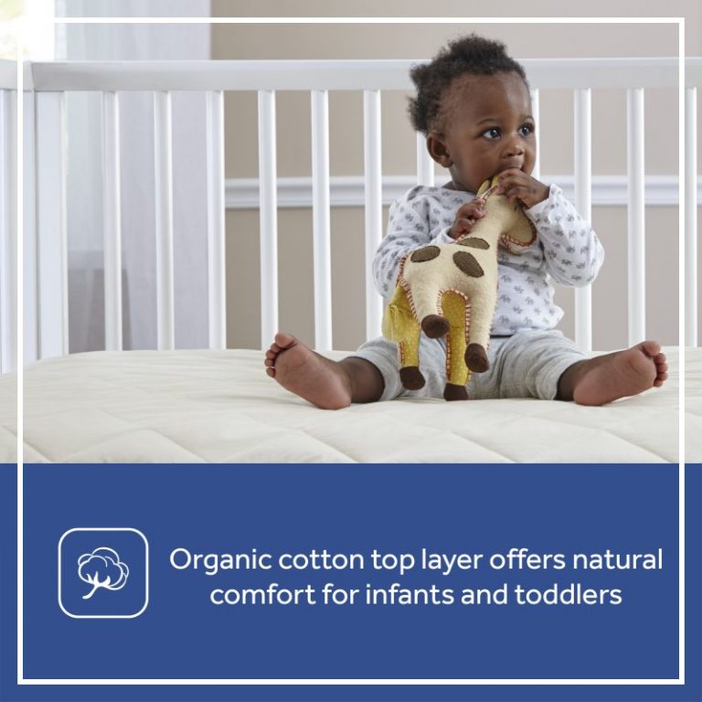 Sealy Quilted Crib Mattress Pad with Organic Cotton