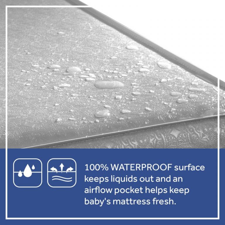 Sealy soybean everedge crib store mattress
