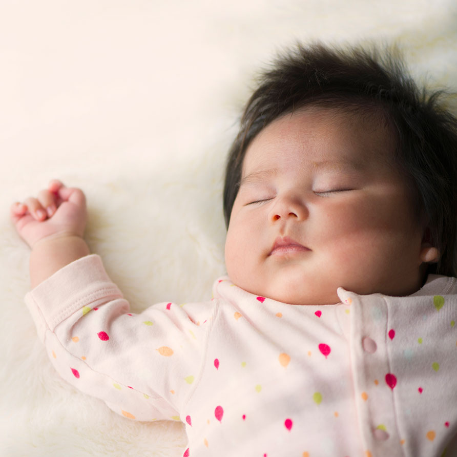 Sealy Baby Crib Mattresses Crib Pads Changing Pads