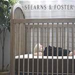 Stearns & Foster
