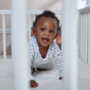 Crib Mattress Fit